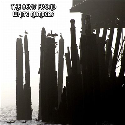 The Bevis Frond - White Numbers